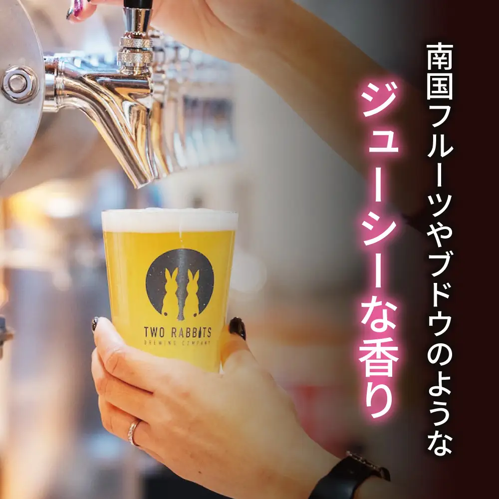 TWO RABBITS BREWING クラフトビール＜キウイ IPA×24本セット＞【DN09W】
