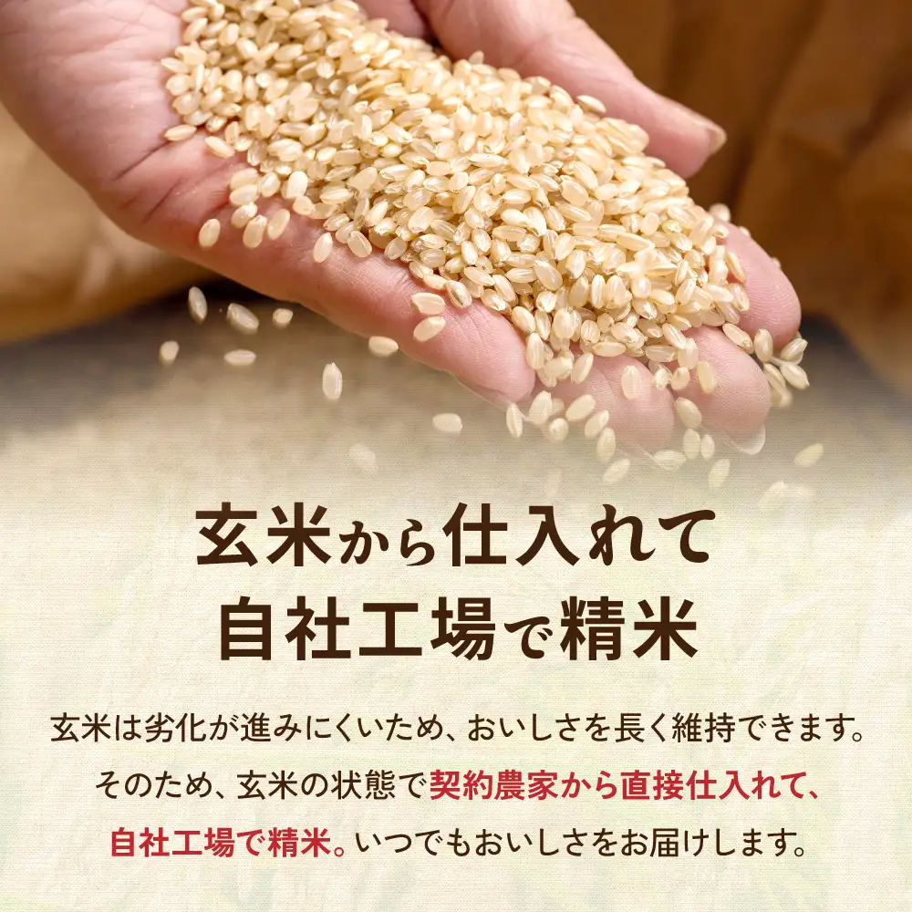 留萌市産 ななつぼし 10kg (5kg×2袋) 令和7年産 精米 米 こめ 北海道 おいしい R037-004