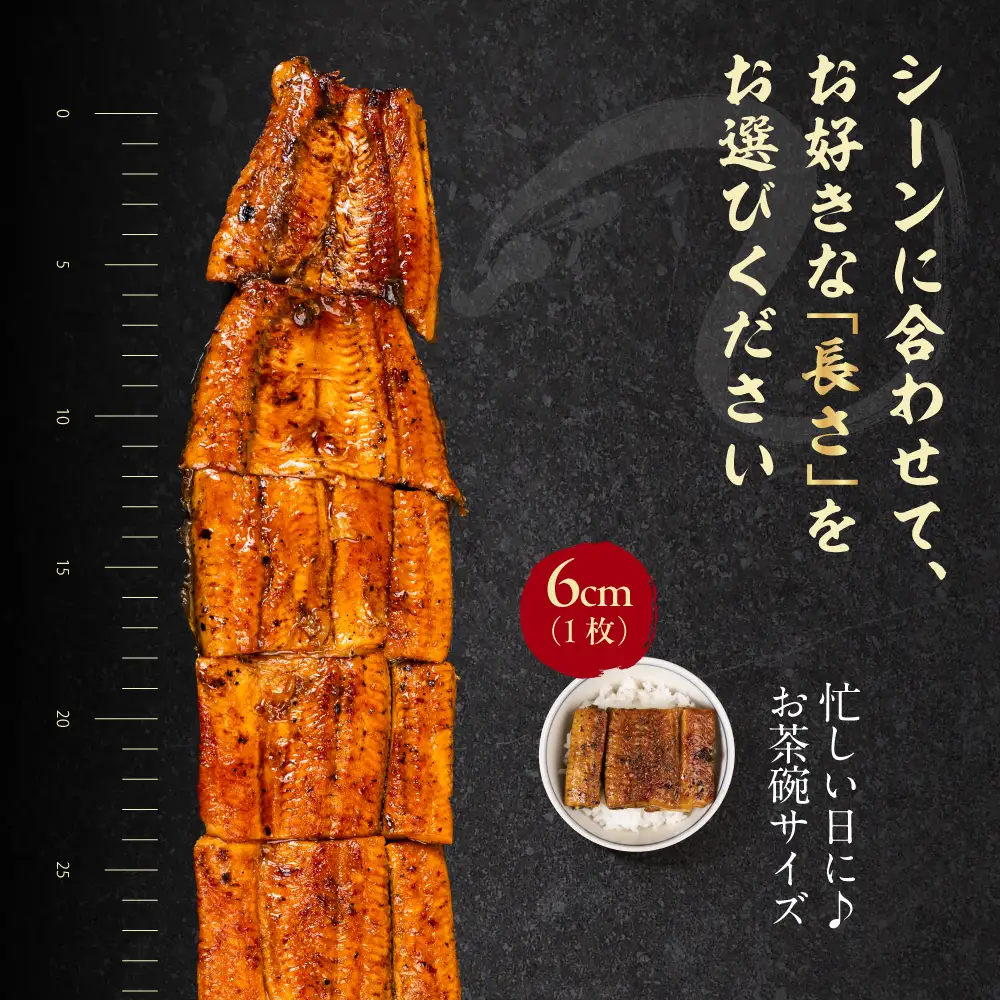 【うなぎ蒲焼　60cm（6cm×10枚）】今、うなぎはセンチで選ぶ！ 長さ選べる 国産 うなぎ蒲焼 カット鰻 うなぎ ウナギ unagi カット済 うな重 冷凍 うな丼 ストック 蒲焼 タレ付 選べる 簡単 簡単調理 訳あり 規格外 人気 三河  愛知県 豊橋市
