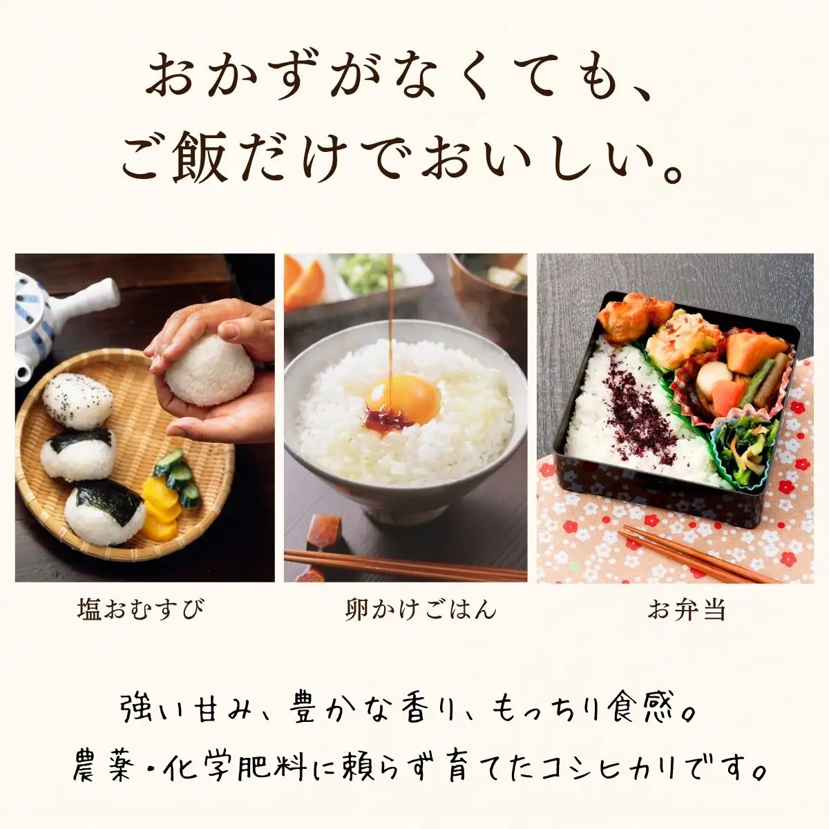 【先行予約】《 令和８年産 新米 》栽培期間中 農薬・化学肥料不使用 プレミアム米 こしひかり 玄米 20kg（5kg×4袋）瑞穂 豊米《 2026年10月上旬より出荷 》（Cl-020）