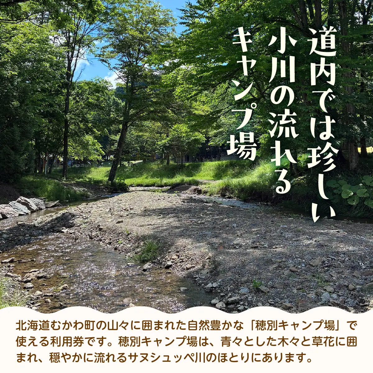 北海道 むかわ町 穂別キャンプ場 利用券 1,000円 MKWAO001