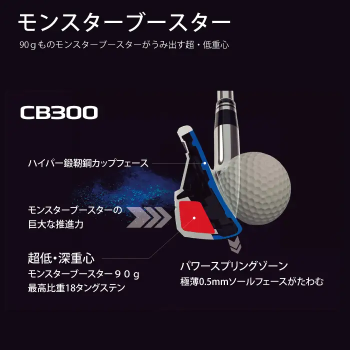 リョーマアイアン 「RYOMA CB300 IRON」5本セット TourADシャフト リョーマ GOLF ゴルフクラブ