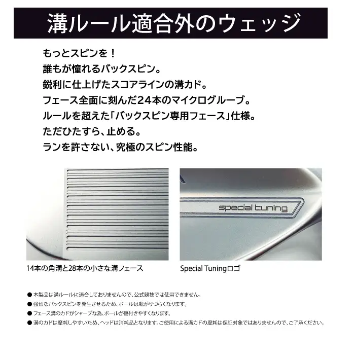 リョーマアイアンウェッジ 「RYOMA SPN Wedge Special Tuning」 単品 BEYONDシャフト リョーマ GOLF ゴルフクラブ