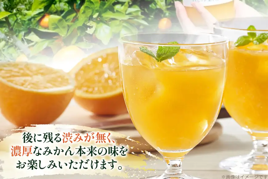 みかん100 ストレート 果汁100％ ジュース 720ml × 6本