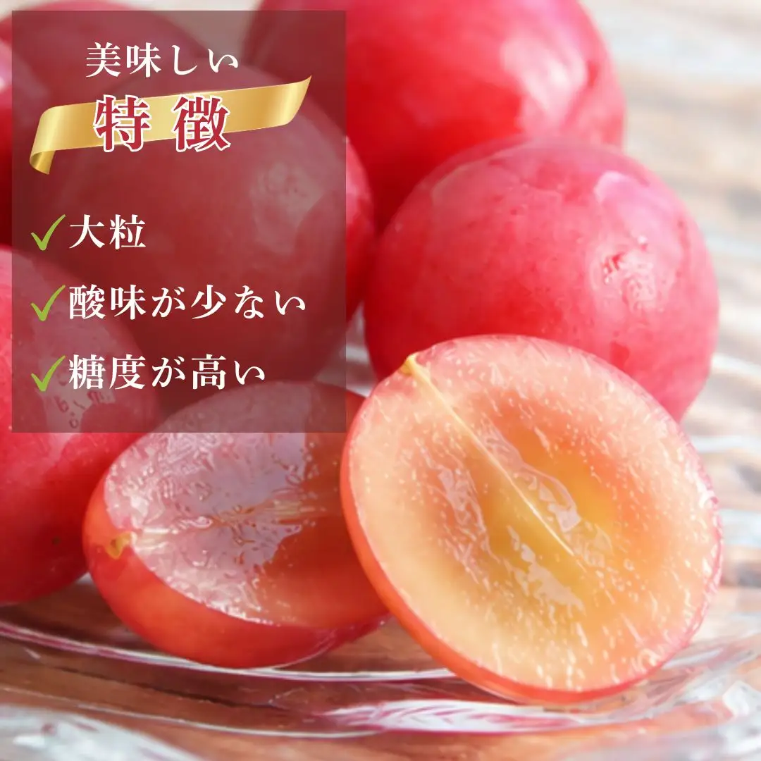 2026年 先行予約 ルビーロマン ぶどう 1房 500g 以上