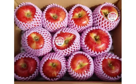 【先行予約 3回定期便】旬のりんご・洋梨セット 約3kg×3回お届け 品種おまかせ