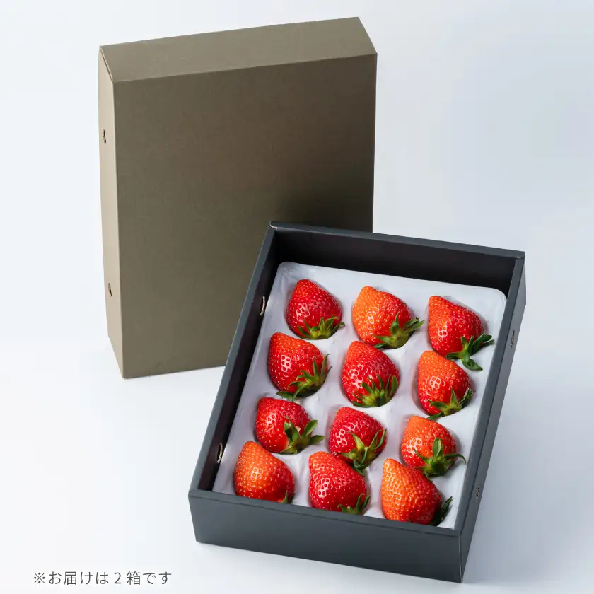 大切な方への贈り物に!金井いちご農園が育てた甘くてジューシーな「やよいひめ」2箱【配送不可地域：離島・北海道・沖縄県・中国・四国・九州】【1748872】