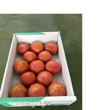 糖度9以上!極上フルーツトマト1kg(11～13玉)群馬県館林市産 数量限定 希少な「感動のトマト」【1740300】