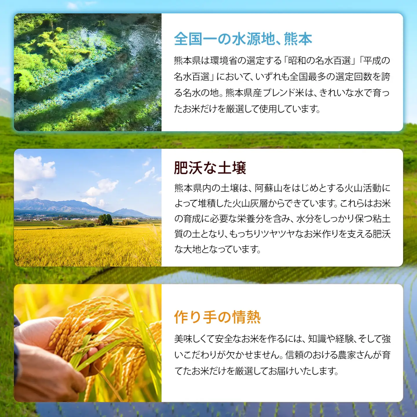 【24ヶ月定期便】熊本県産 くまもとあっぱれ米 ブレンド米 10kg 白米《お申込み翌月から出荷》