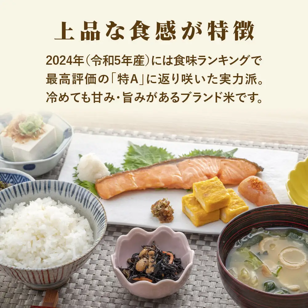 【令和7年産 白米】 宮城県産 つや姫 5kg 丹野米穀店