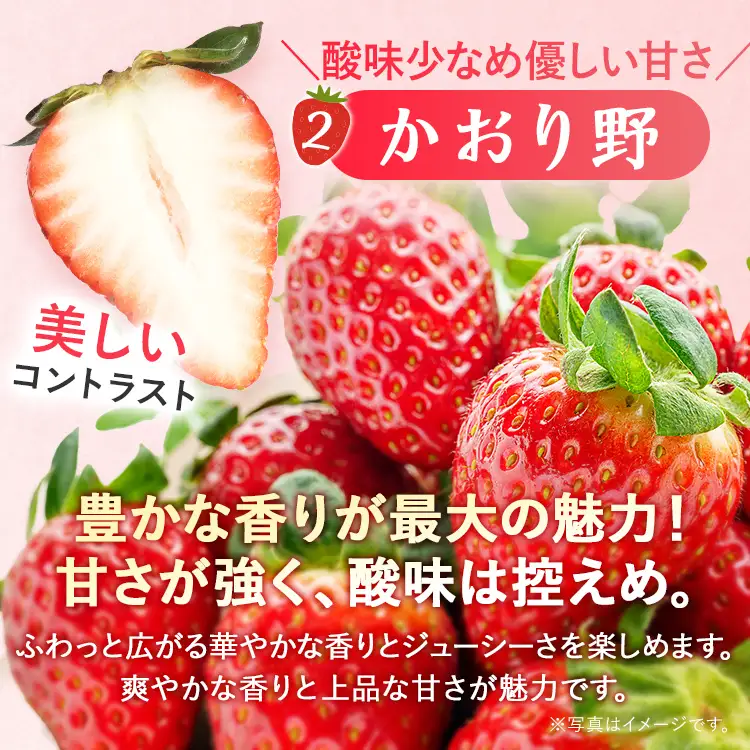 いちご   福岡いちご2種食べ比べセット あまおう かおり野  【2027年2月より順次発送】 いちご  