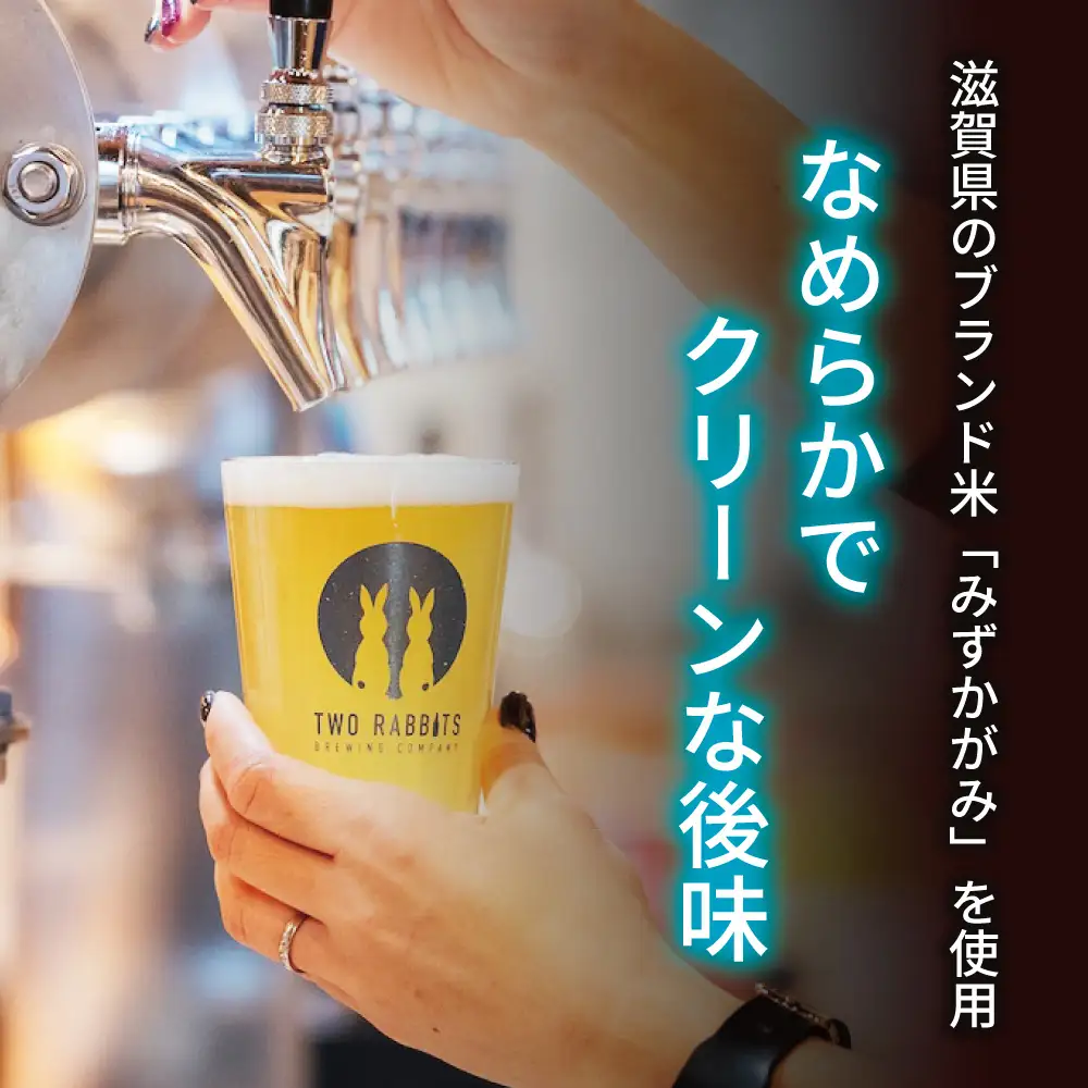 TWO RABBITS BREWING クラフトビール＜飲み比べ4種×12本セット＞【DN16W】