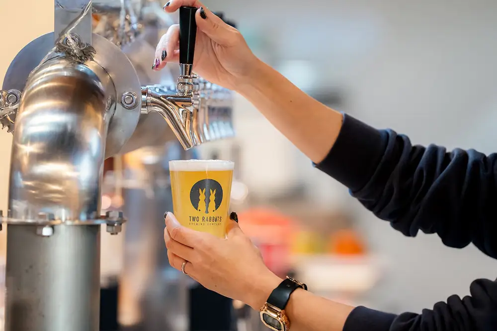 TWO RABBITS BREWING クラフトビール＜飲み比べ4種×24本セット＞【DN17W】