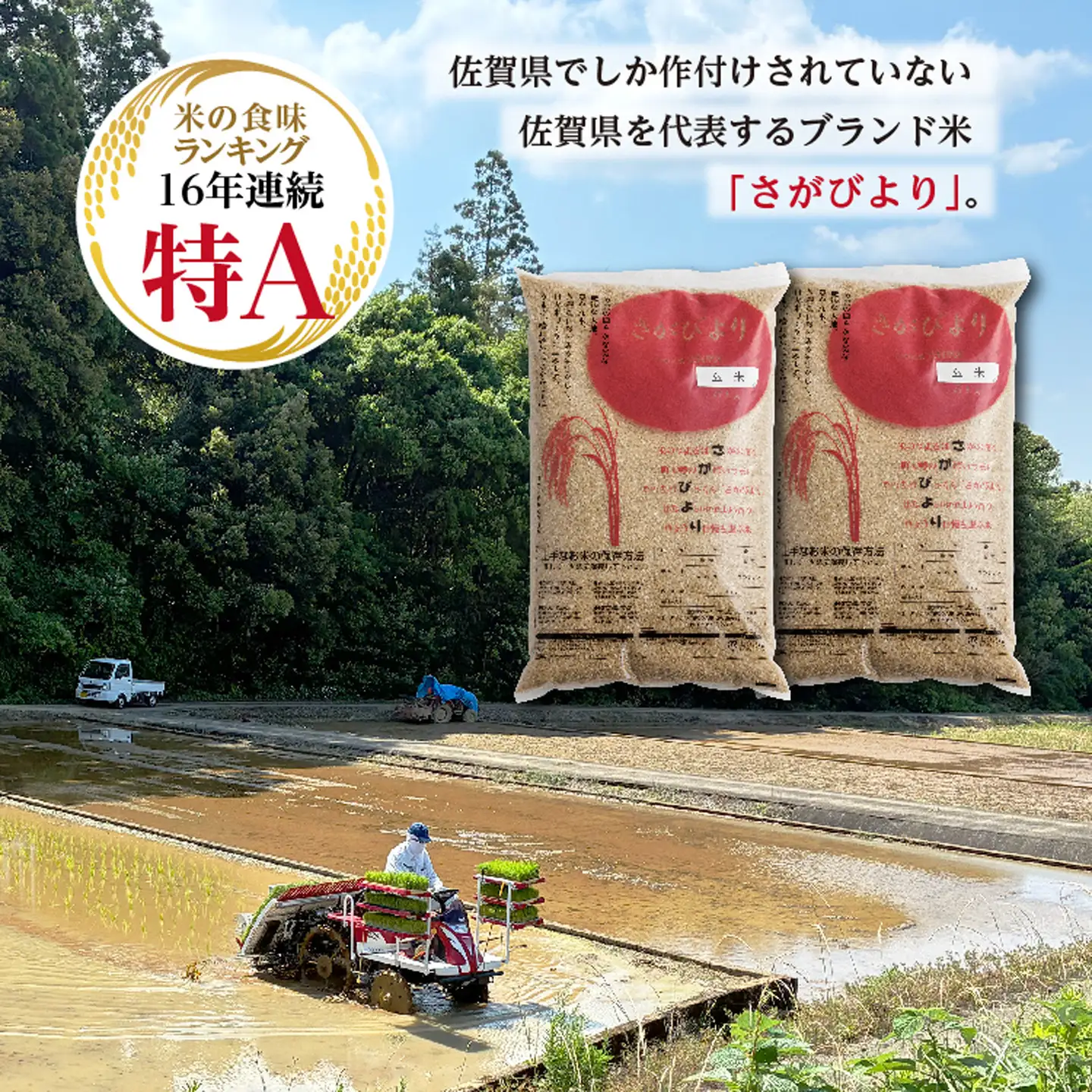 【新米予約】令和8年産 はがくれ農園のさがびより 玄米 10kg（5kg×2袋）米 お米 _c-151