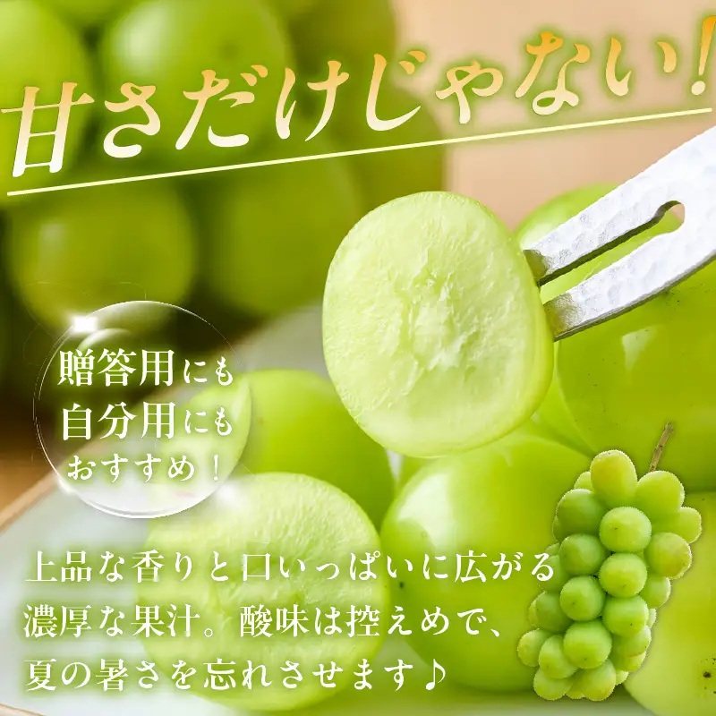 【先行予約】【2026年8月発送】東浦町産 シャインマスカット(約1kg)