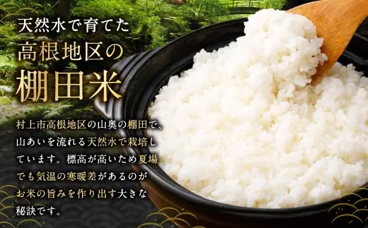 【新米受付・令和8年産米】新潟県村上市岩船産　棚田米コシヒカリ「たかねの花」10kg　1104002N
