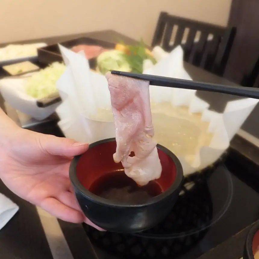 【毎月定期便】信州 飯田 ブランド豚 全日本 優秀賞「幻豚(げんとん)」しゃぶしゃぶ 用 バラ肉 500g【全6回】
