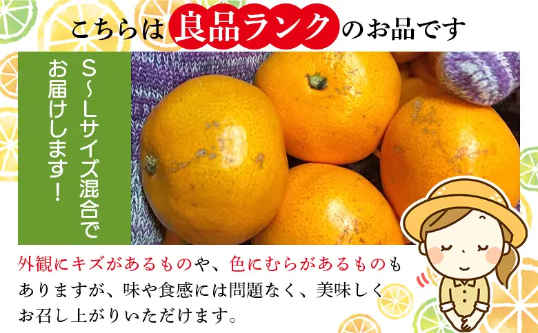 ＜木下さんちのみかん 良品 約3kg（S～Lサイズ混合）＞『2026年11月中旬～12月下旬に順次出荷予定』 柑橘類 温州みかん うんしゅうみかん みかん ミカン 蜜柑 果物 くだもの フルーツ 特産品 木下農園 西宇和 愛媛県 西予市【常温】MKS0014