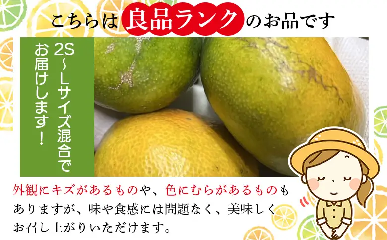 ＜木下さんちの極早生みかん 良品 約3kg（2S～Lサイズ混合）＞『2026年10月に順次出荷予定』柑橘類 ごくわせ 早生ミカン 蜜柑 果物 くだもの フルーツ 甘酸っぱい あまずっぱい 国産 キロ 特産品 木下農園 西宇和 愛媛県 西予市【常温】MKS0016