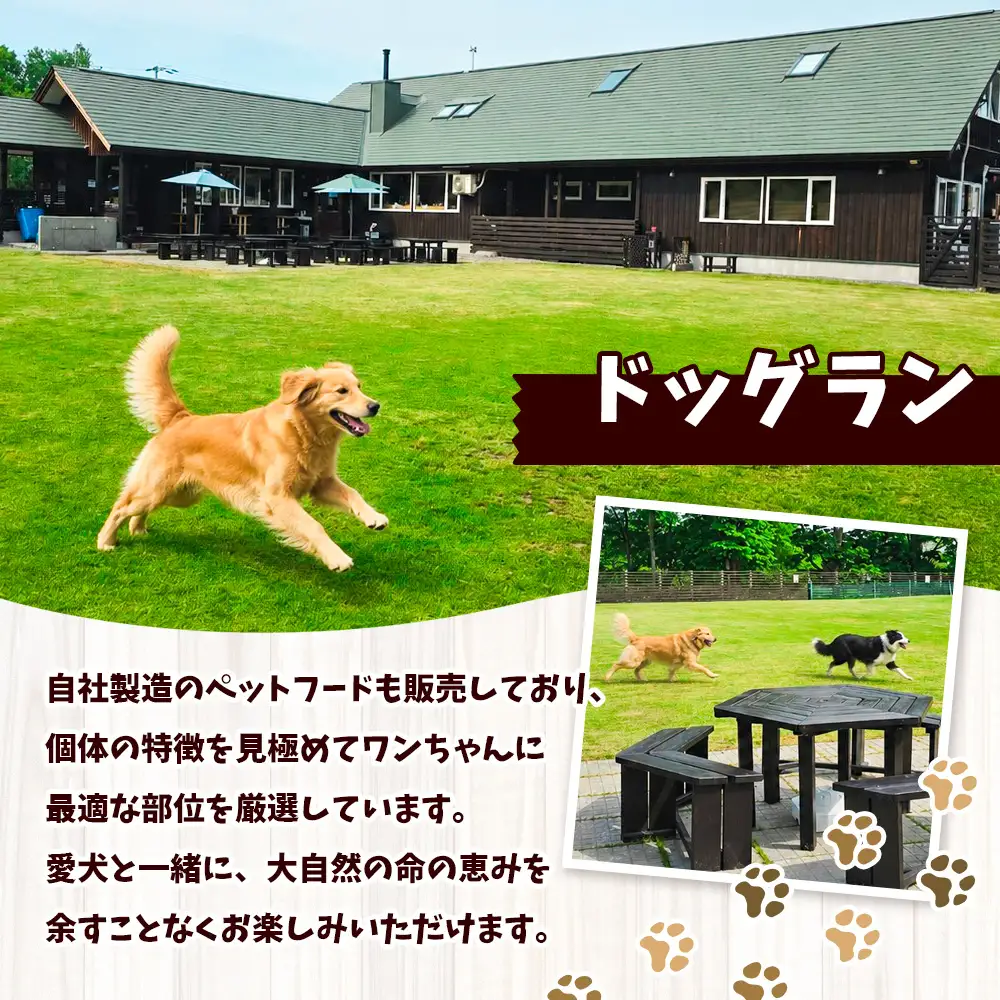 【 ふるなび限定 】 わんdeere エゾ鹿 スティックジャーキー 大容量セット （ 計750g ） 犬用おやつ 犬用ジャーキー おやつ ジャーキー ドッグフード ペットフード 犬 いぬ ペット 鹿肉 肉 にく ペット用品 雑貨