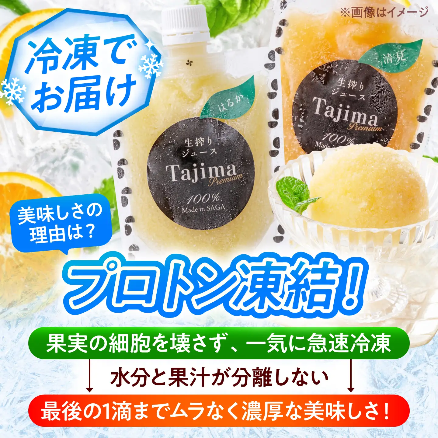 冷凍ジュース10種飲み比べ / みかん いちご 苺 ジュース 果汁100% / 佐賀県 / 合同会社田島柑橘園＆加工所[41ATAD001]