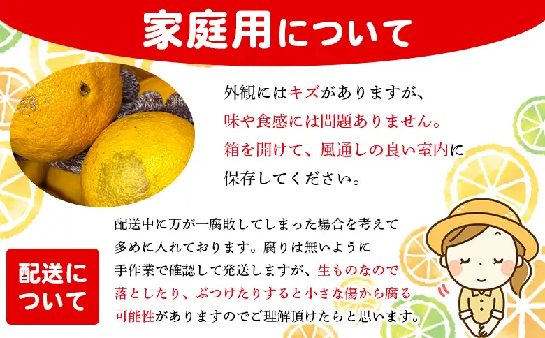 ＜木下さんちの不知火 家庭用 約4kg（大中小混み）＞『2027年3月に順次出荷予定』柑橘 しらぬい でこぽん デコポン ご自宅 みかん ミカン 蜜柑 果物 くだもの フルーツ 果実 特産品 木下農園 西宇和 愛媛県 西予市【常温】MKS0019