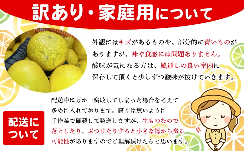 ＜木下さんちのニューサマーオレンジ 訳あり 約3kg（大中小サイズ混み）＞ 柑橘類 日向夏 ミカン 蜜柑 果物 くだもの フルーツ 国産 特産品 木下農園 愛媛県 西予市【常温】『2027年4月上旬～5月中旬に順次出荷』MKS0020