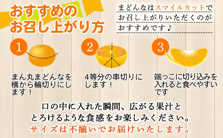 紅まどんなと同品種！＜木下さんちのまどんな 訳あり 約2.5kg＞『2026年12月に順次出荷』愛媛果試第28号 柑橘類 みかん ミカン 果物 くだもの フルーツ 不揃い 自宅用 愛媛果試第28号 特産品 産地直送 マドンナ 木下農園 西宇和 愛媛県 西予市【常温】MKS0021