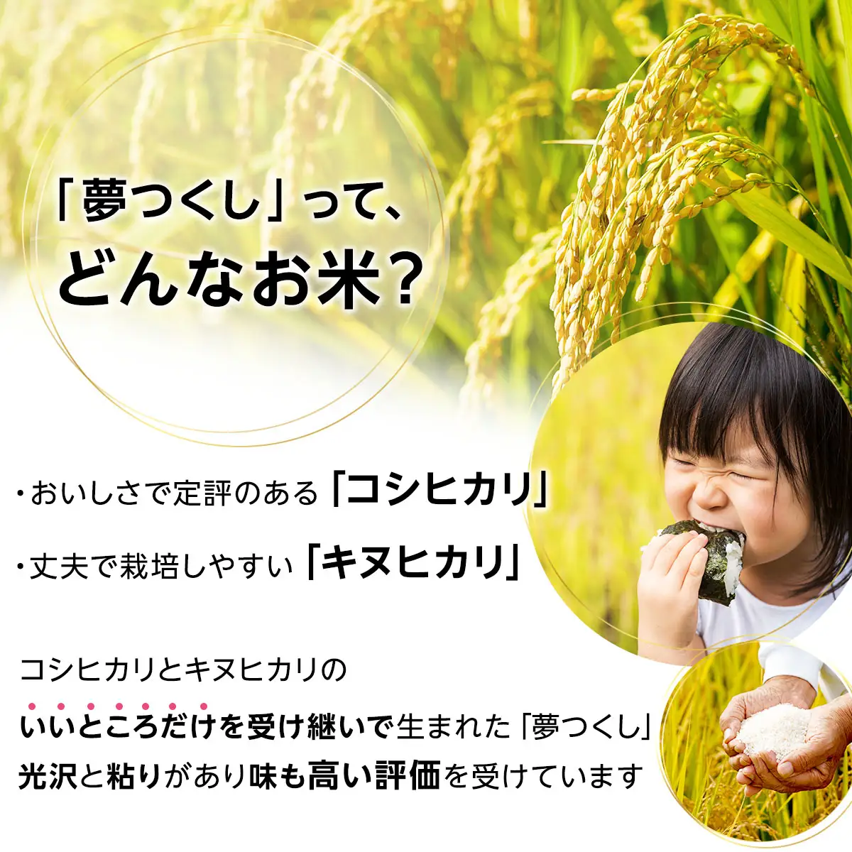 夢つくし パックご飯 計24パック (各200g)