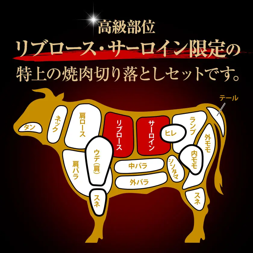 くまもと黒毛和牛 上 ロース 焼肉 切り落とし 600g《7-14日以内に出荷予定(土日祝除く)》