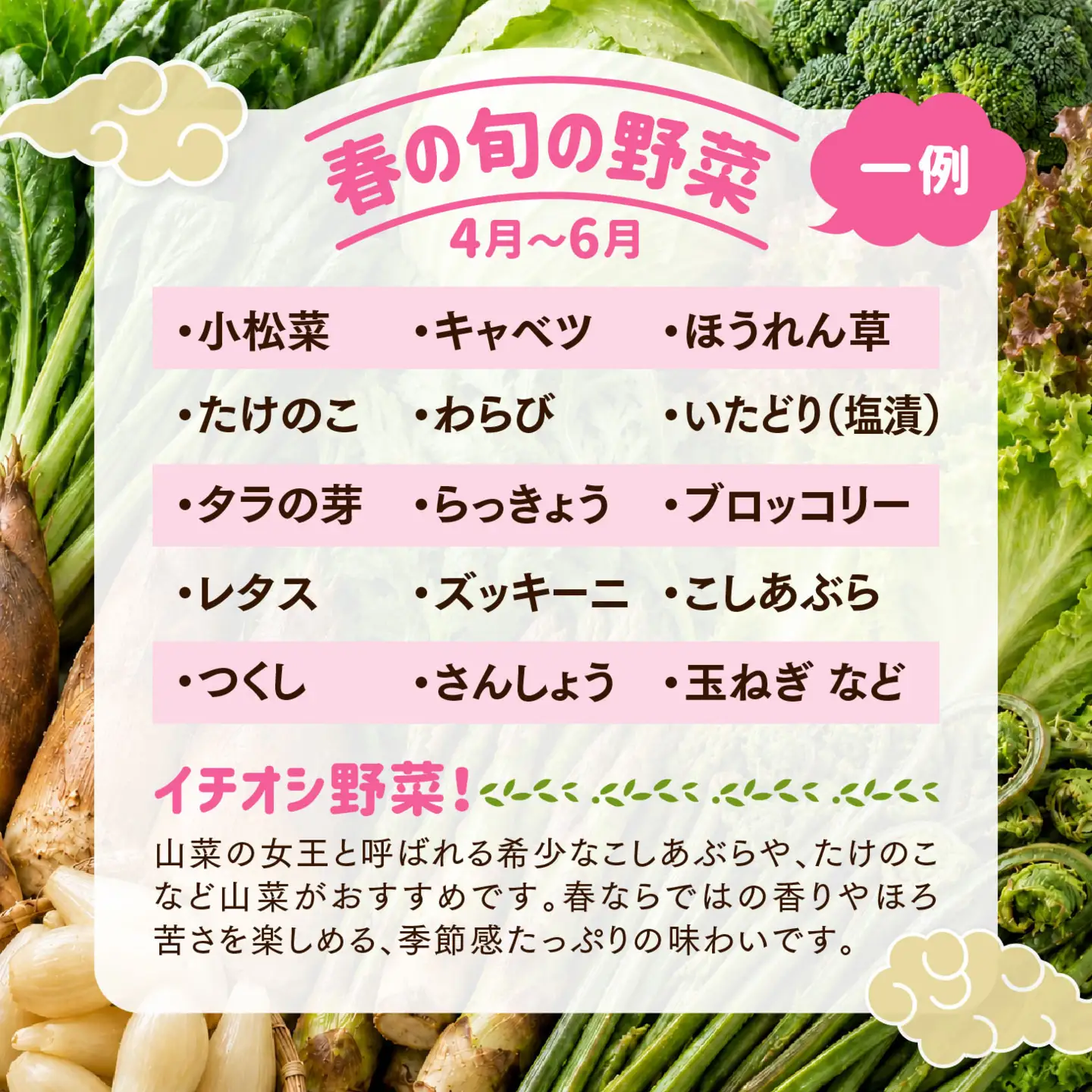 【定期便2回】久万高原 天空の旬野菜便2kg【道の駅みかわ厳選】 | 野菜詰め合わせ 5～6品目 新鮮野菜 定期便 愛媛県産 産地直送