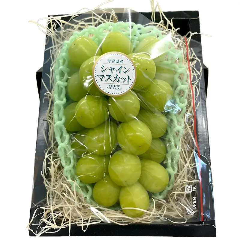 【先行予約】 シャインマスカット 1房 約600g 《木村隆志 作》 藤崎町産 化粧箱入り ぶどう 葡萄 フルーツ 厳選 大粒 高糖度 国産 産地直送 数量限定 F41-0156