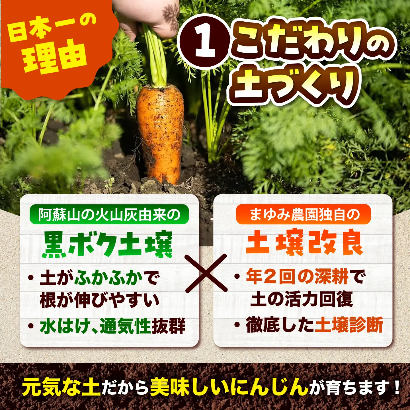 【先行予約】【2026年12月順次発送開始】ジュース用秋にんじん5kg (訳あり) にんじん BHCW018