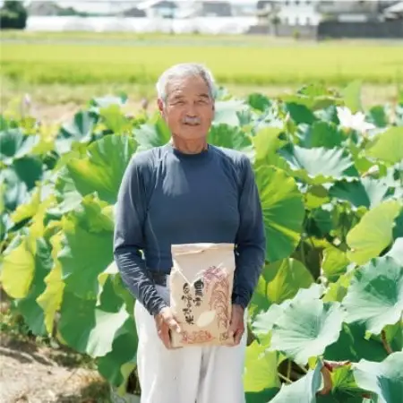 令和7年産ひとめぼれ計10kg　京都府久御山町 大人気のお米(精米)をお届け【1752611】