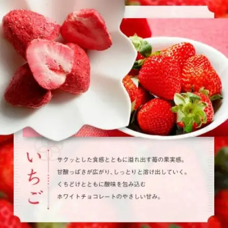 芦屋・寿果実　8袋セット【贈答箱】【配送不可地域：離島】【1750829】