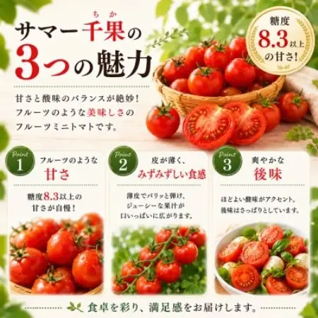 【毎月定期便】蓼科野菜　八ヶ岳産高原育ちのフルーツミニトマト 約2kg 全2回【配送不可地域：離島】【4088598】