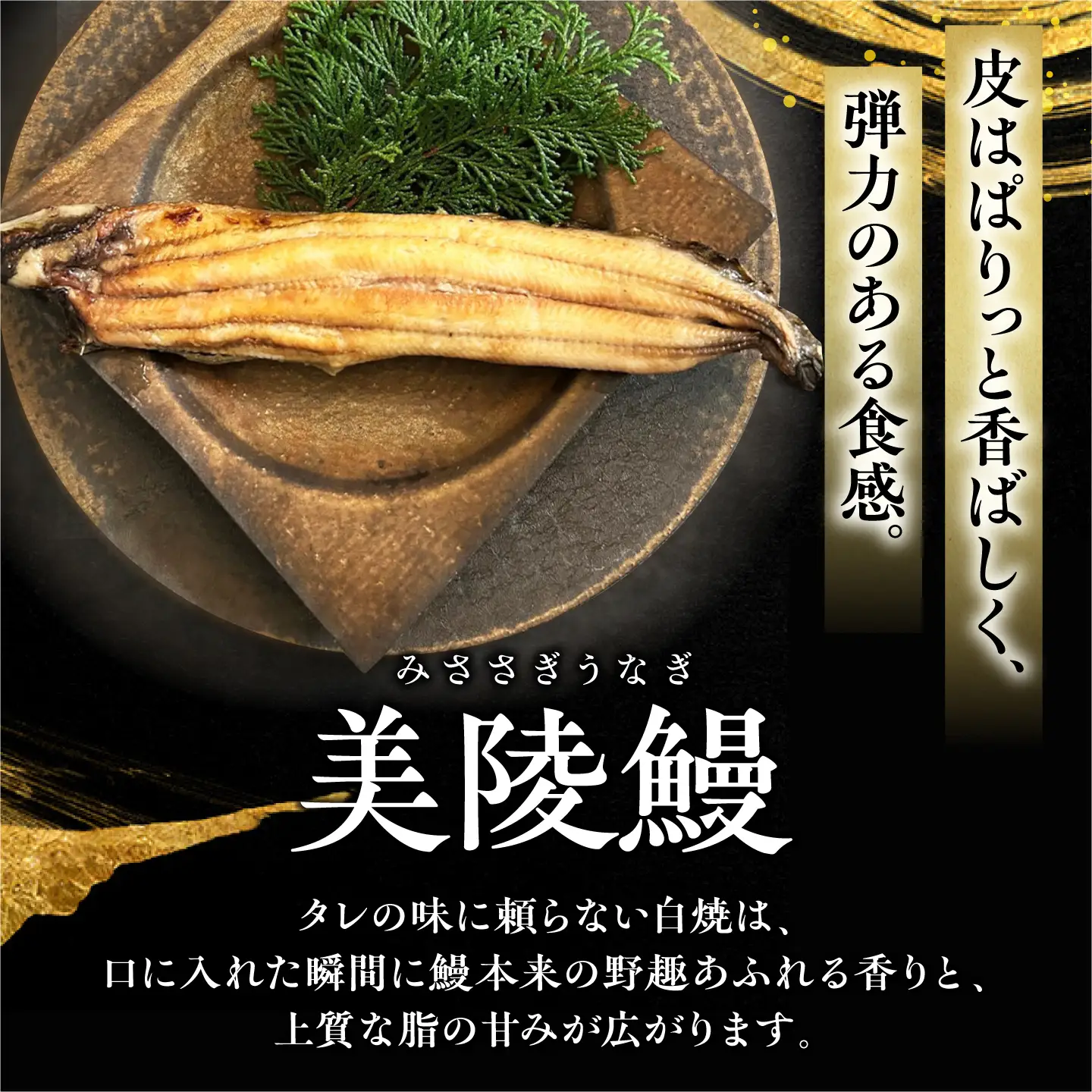 鰻 美陵鰻の白焼 1尾 / 美陵鰻 鰻 うなぎ ウナギ 蒲焼 蒲焼き かば焼き かばやき 白焼き 白焼 しろやき しらやき うな重 うな丼 ひつまぶし 惣菜 おかず タレ 山椒 国産  土用 丑の日 ギフト / 大阪府藤井寺市/(株)れいわ水産[BLAL022]