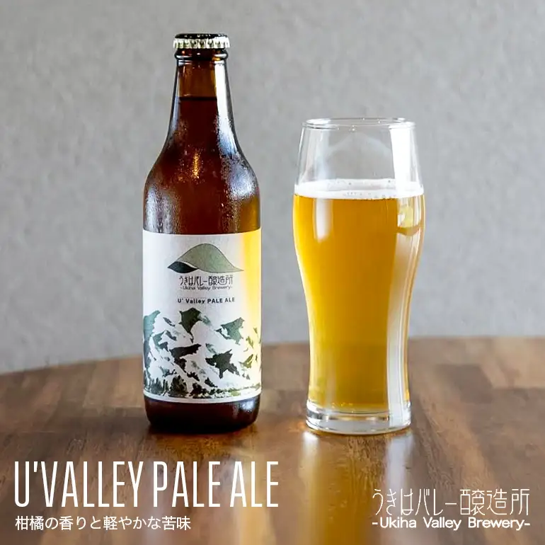 【ふるさと納税】クラフトビール 飲み比べ 4種 8本セット 地ビール ビール 瓶ビール お酒 ギフト 詰め合わせ プレゼント 家飲み お祝い お祝い返し 開店祝い 退職祝い 新築祝い おすすめ 国産 福岡県うきは市 エールビール 送料無料【株式会社うきはバレー醸造所】