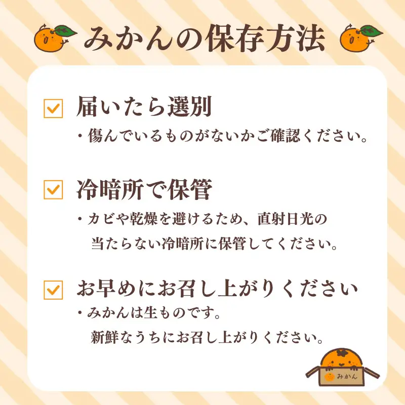 【訳あり】早生みかん 5kg 日南 minorien 静岡 牧之原