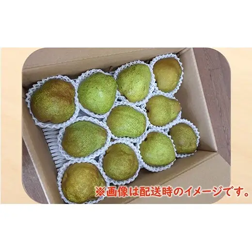 【令和8年産先行予約】 〈訳あり品 家庭用〉 ラ・フランス 約5kg (12～24玉) 《令和8年11月中旬～発送》 『カネタ高橋青果』 ラフランス フルーツ デザート 山形県 南陽市 [2674]