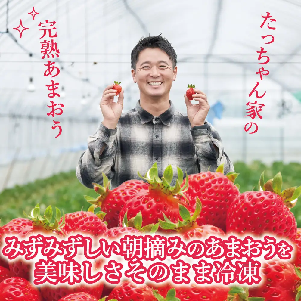 有機肥料にこだわった たっちゃん家の完熟冷凍あまおう　1kg×2袋　計2kg