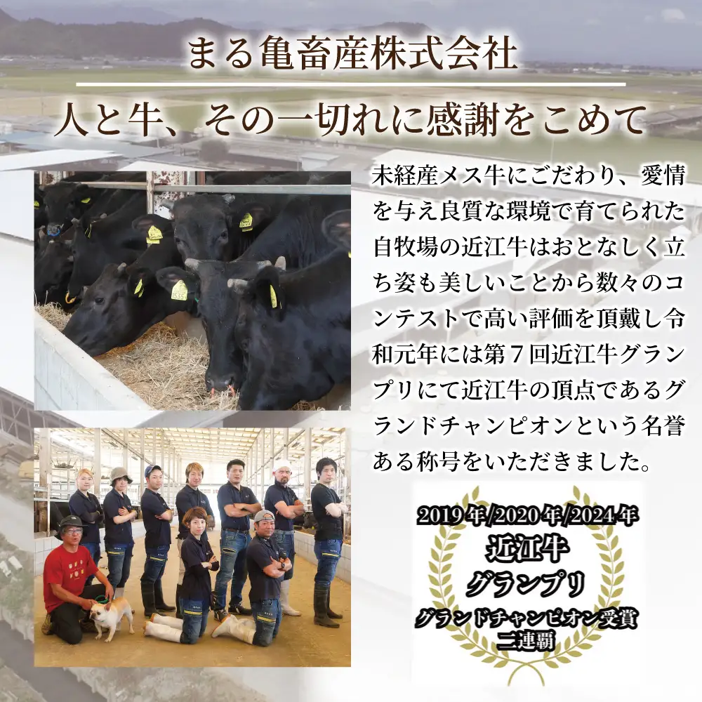 近江牛サーロイン　ステーキ・焼肉用（200g×3枚）【FK13W】