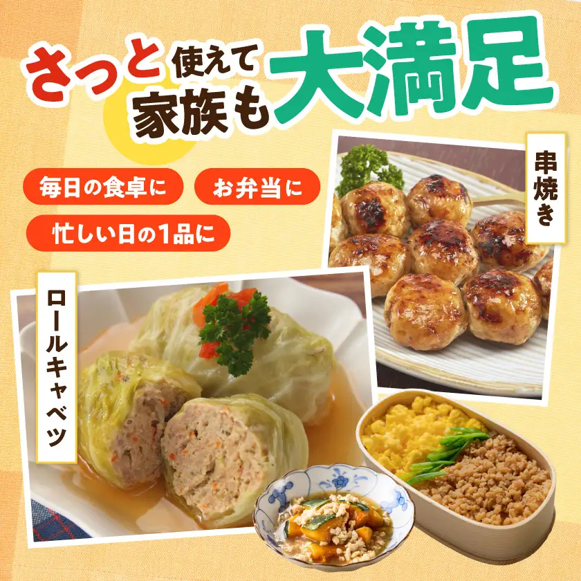 宮崎県産鶏ミンチ5kg≪みやこんじょ特急便≫〔13-89-005-5kg-Q〕_(都城市)