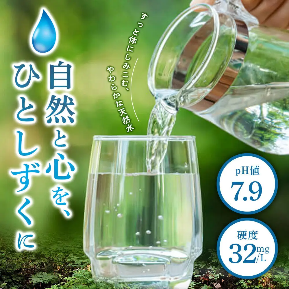 水 《定期便5ヶ月》国産 ミネラルウォーター ピュアの森 2L 6本×1箱 ラベルあり