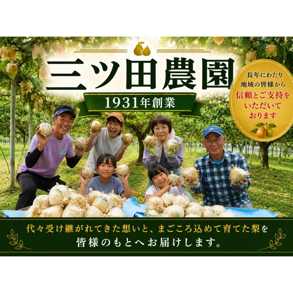 【2026年10月頃より発送】三ツ田農園 新興梨 (青秀)自家用3kg
