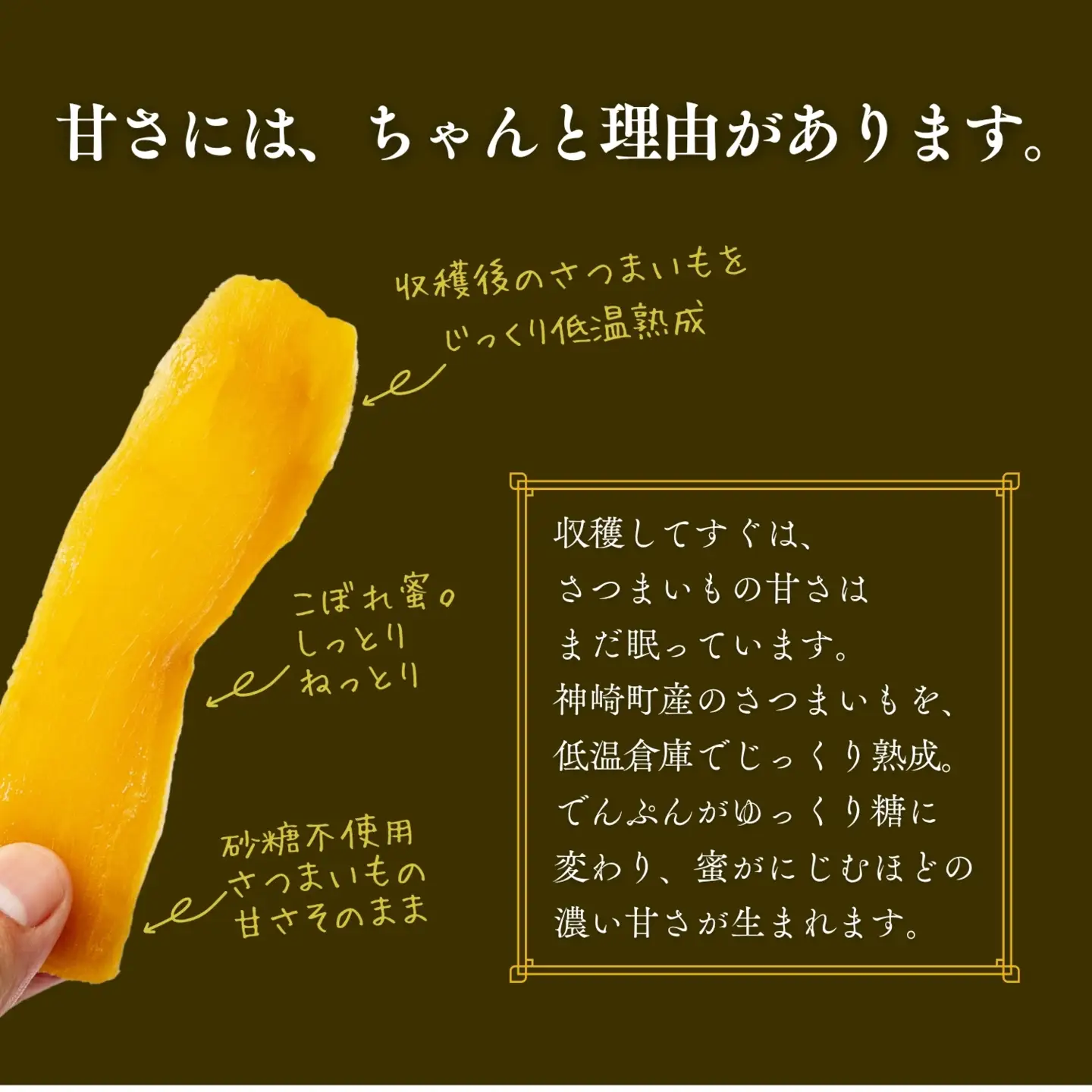 こぼれ蜜干しいも 100g  [030-a001]