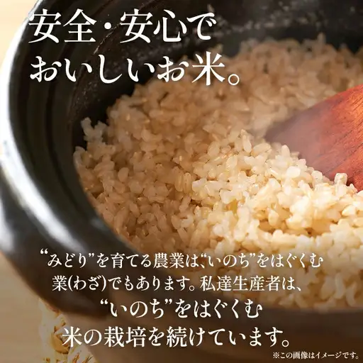 令和8年産 予約 合鴨米「元気つくし」（玄米・10kg）定期便6回コース BI25