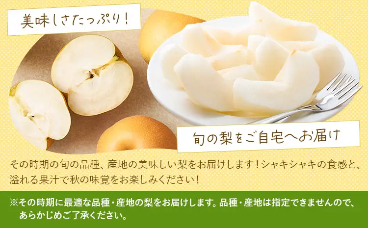 【先行予約】梨 訳あり梨  約5kg 株式会社Foody’s《2026年8月下旬-10月下旬頃出荷》なし 和梨 フルーツ 果物 ご家庭用 不揃い キズあり 菊池市産 熊本県産 九州産