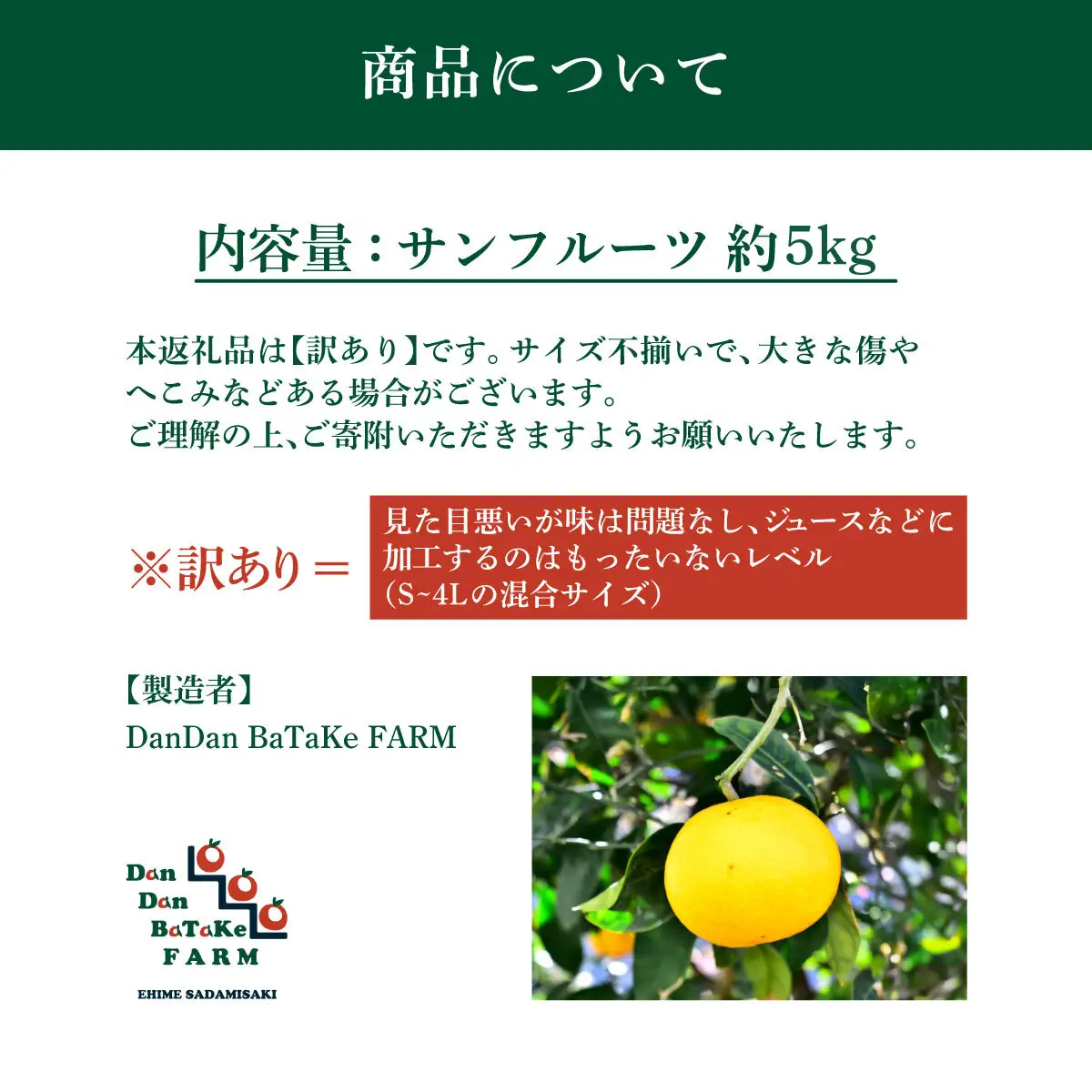 【先行予約】【訳あり】新甘夏 サンフルーツ 約5kg |柑橘 みかん 果物 フルーツ 愛媛県産 西宇和産 農家直送 ※離島への配送不可　※2027年3月中旬より順次発送予定 IKTAU017
