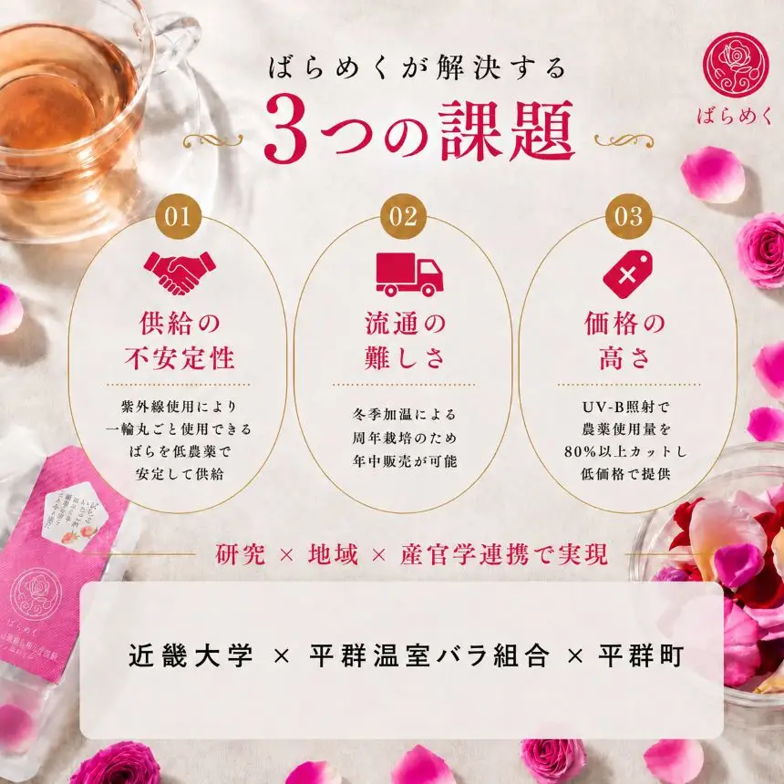 古都華 いちご 苺 ブレンドティー ハーブティー 奈良 平群 国産 ノンカフェイン 食用バラ 薔薇 ティーバッグ ギフト 贈り物 お茶 甘い 香り スイーツ ばらめく 減農薬 花 | 奈良県 平群町